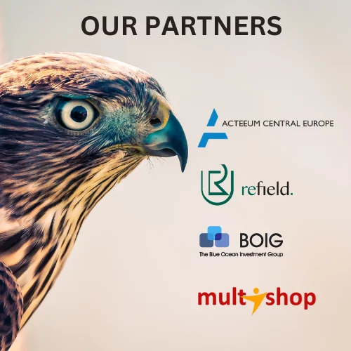 Falcon Finance (FF) Launch: What It Is, The Airdrop Math, and Its Price Potential