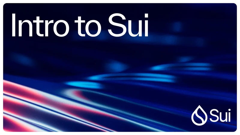 Sui: The Price Floor, Valuation Shifts, and Investor Reactions – What Reddit is Saying